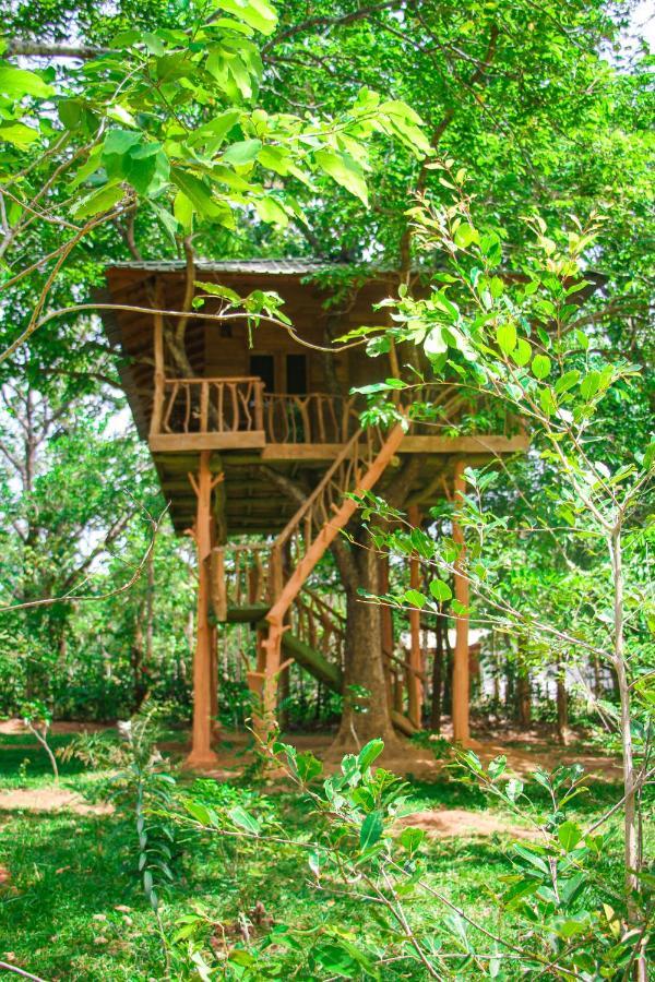Lotus Eco Villa Sigiriya Exterior foto